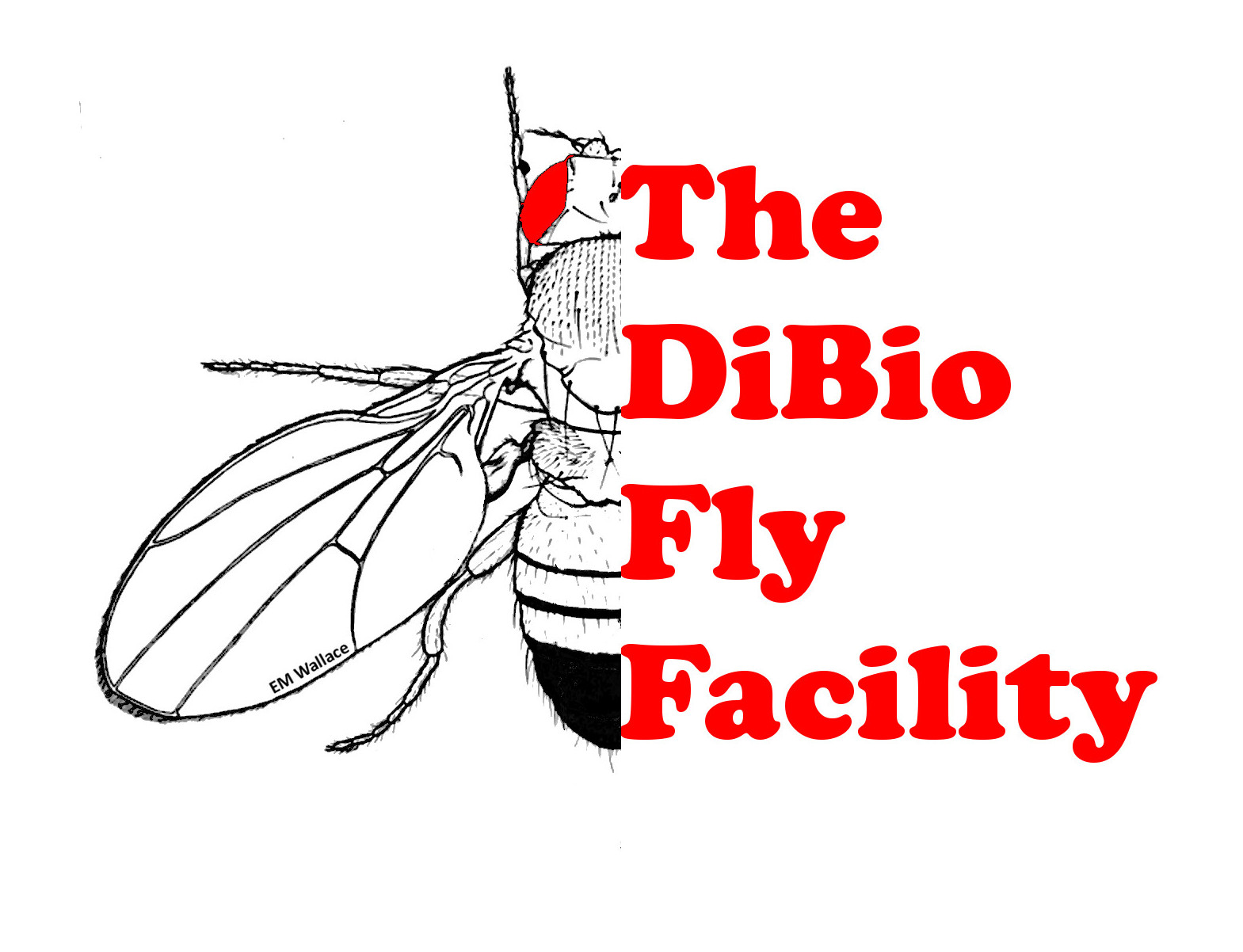 Department of Biology Fly Facility